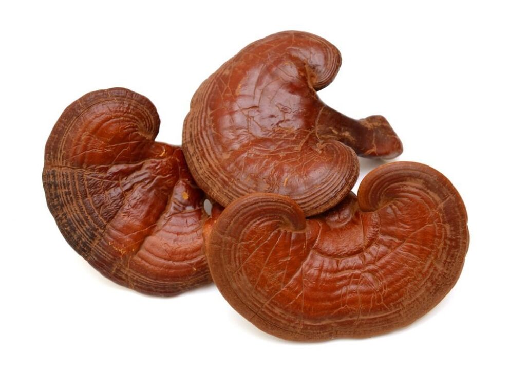 Predstonorm satur reishi sēnes